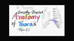 Clinically-Oriented Anatomy of the Thorax (Part 2)