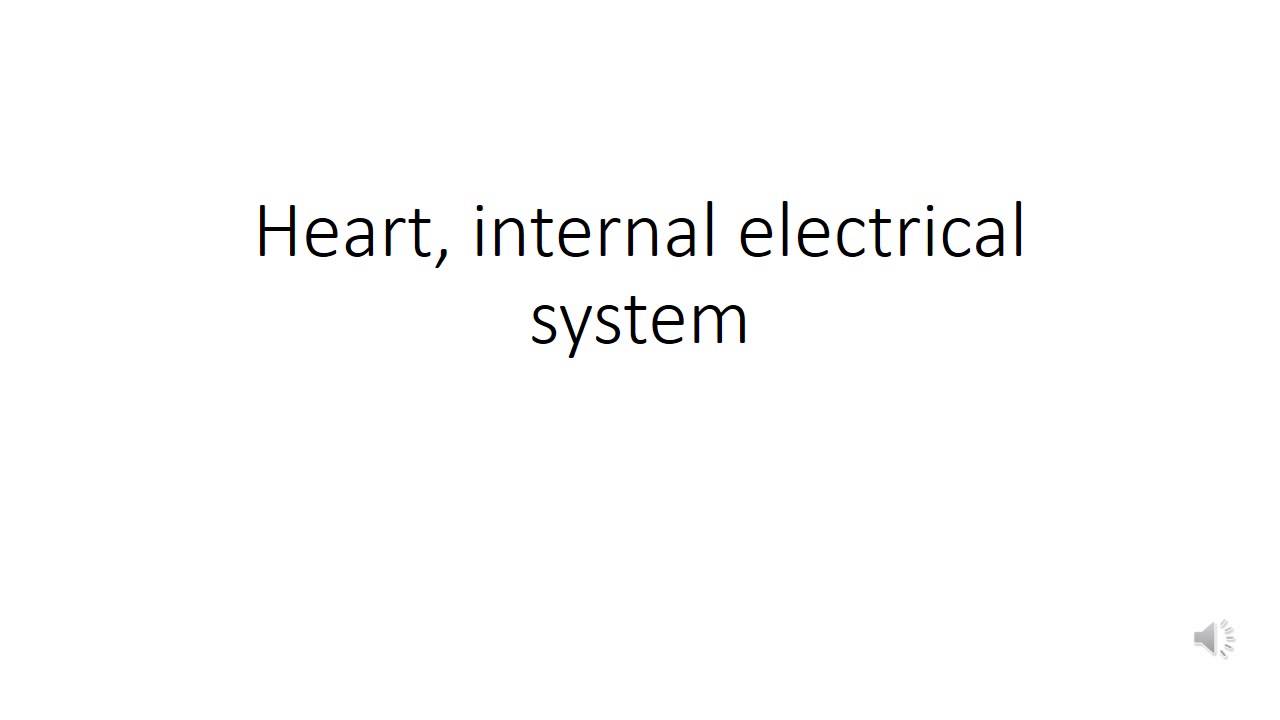 Cardiovascular System 4, Podcast, Heart internal electrical system