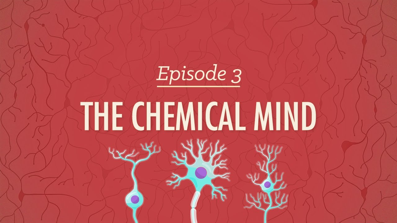 The Chemical Mind: Crash Course Psychology #3