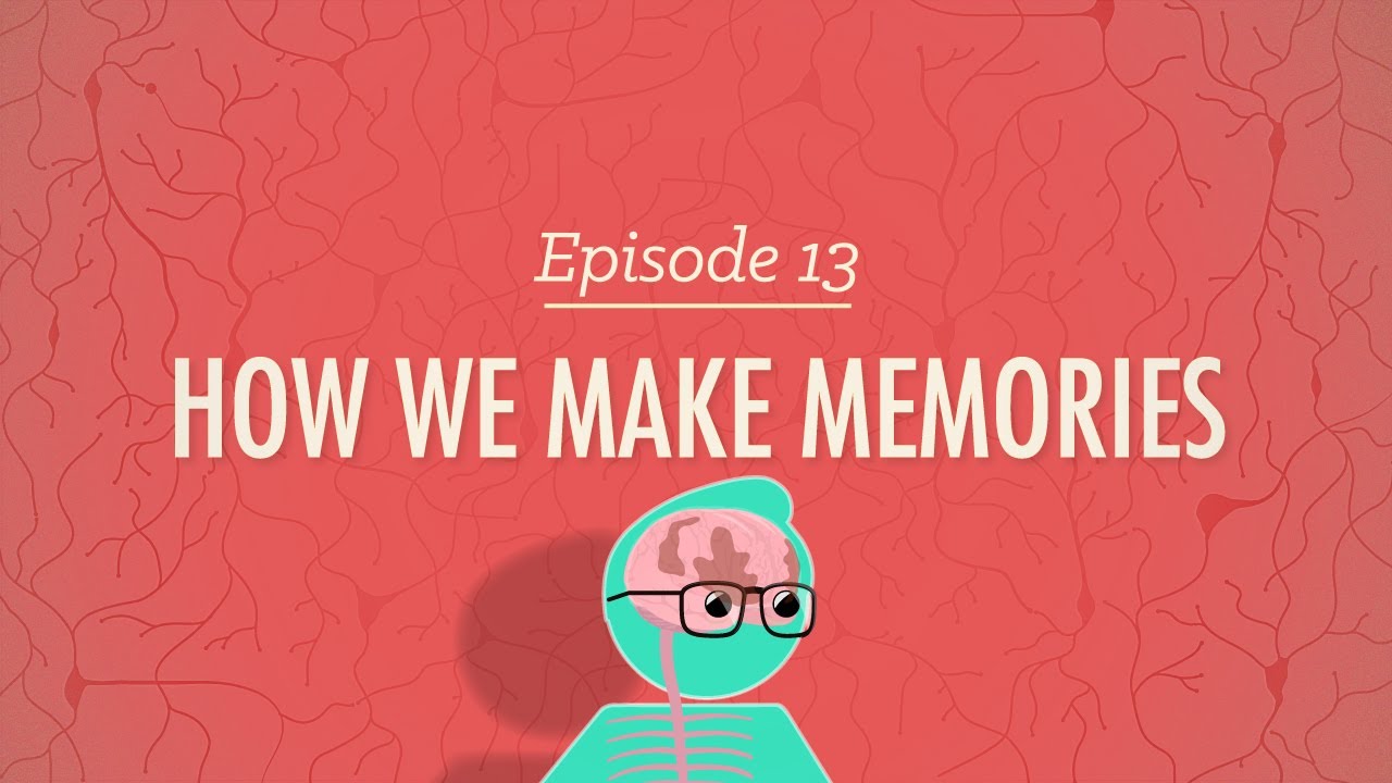 How We Make Memories: Crash Course Psychology #13