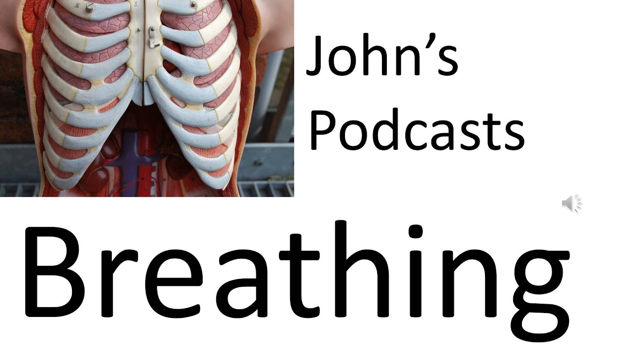 Respiratory System 5, Podcast on breathing